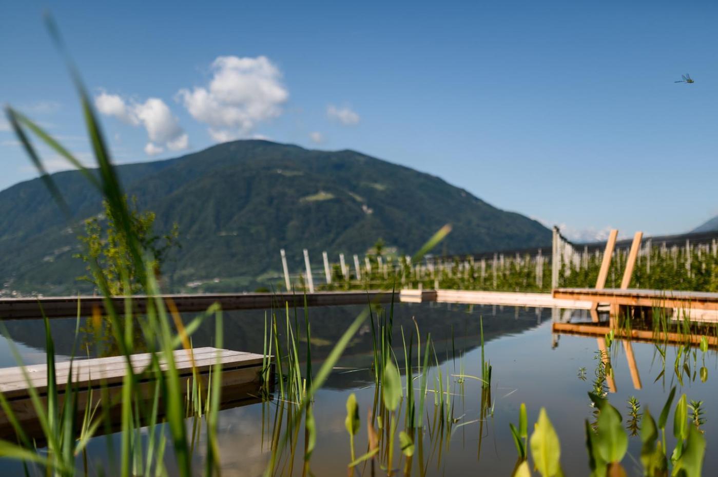 Pataunerhof Tirol Экстерьер фото
