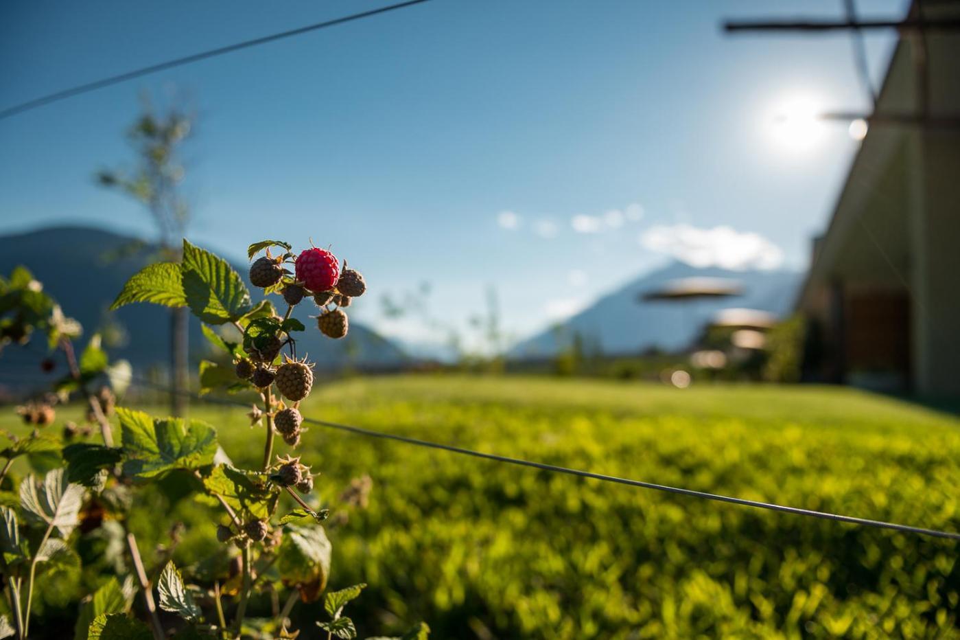 Pataunerhof Tirol Экстерьер фото